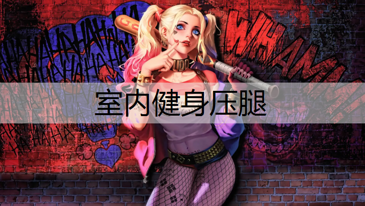 室内健身压腿
