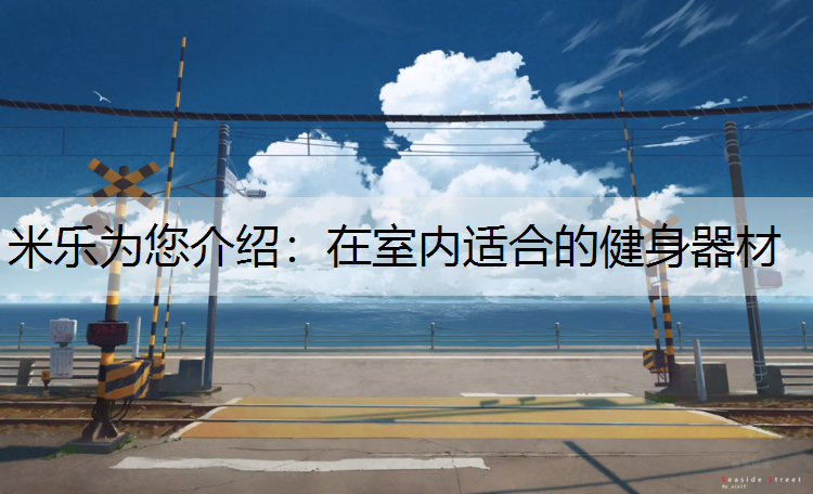 在室内适合的健身器材